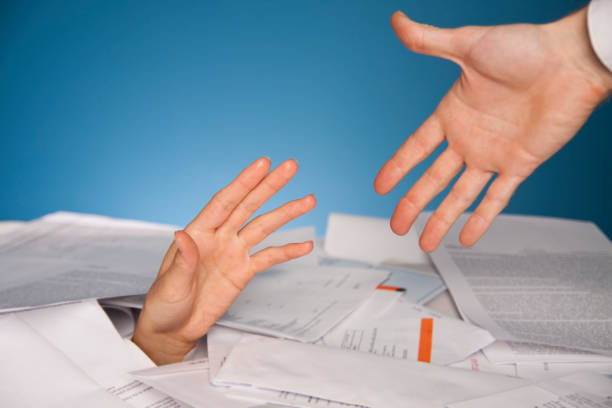 Tax Professional at Work